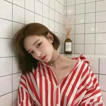梦墙