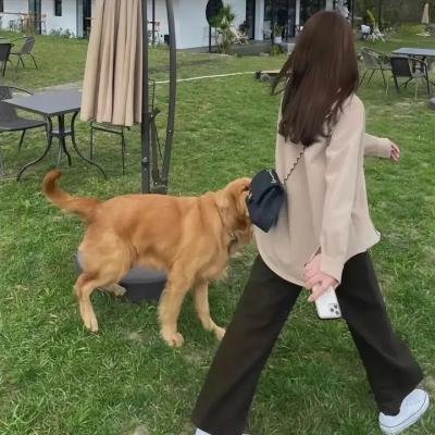 危机大逆袭